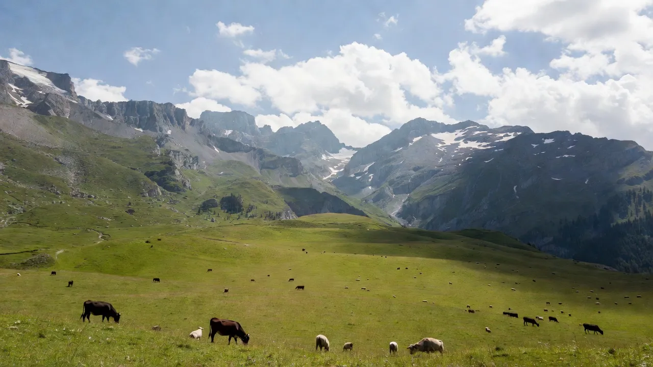 Alpine pasture with grazing cattle and sheep beneath snow-flecked peaks.